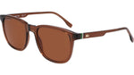 210 - TRANSPARENT BROWN / 