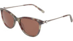 682 - ROSE TORTOISE / 