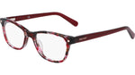 650 - RASPBERRY TORTOISE / 
