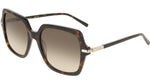 242 - DARK TORTOISE / 
