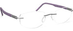 7100 - Lavender Fields / 