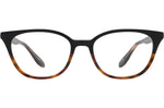 Raven Tortoise Gradient / Demo