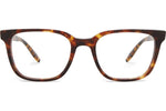 Chestnut / Demo