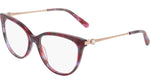650 - FRUIT PUNCH TORTOISE / 