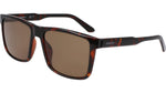 240 - TORTOISE/LL BROWN / 
