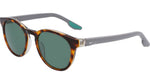 243 - TORTOISE / GREEN / 