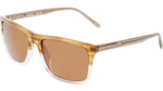221 - BROWN HORN GRADIENT / 