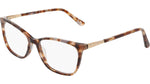 244 - BROWN TORTOISE / 