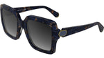 434 - BLUE BROWN TORTOISE / 