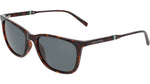 206 - DARK TORTOISE / 
