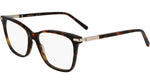 242 - DARK TORTOISE / 