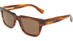 208 - BROWN HORN / 