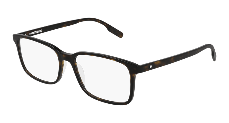 HAVANA / TRANSPARENT