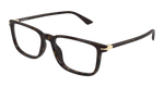 HAVANA / TRANSPARENT