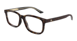 HAVANA / TRANSPARENT