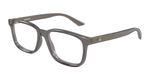 GREY / TRANSPARENT