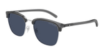 SILVER / GREY / BLUE