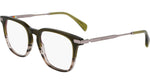 318 - TRANSPARENT OLIVE / STRIPED OL / 