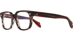 005 - STRIPED BROWN HAVANA