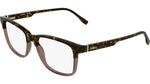 219 - HAVANA/TRANSPARENT COGNAC / 