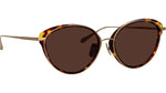 002 - DARKT-SHELL/LIGHT GOLD/BROWN / 