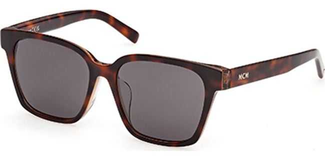 56E - Dark Havana / brown
