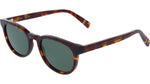 230 - DARK HAVANA / 