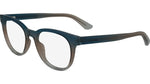 539 - BLUE/BROWN