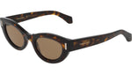242 - DARK TORTOISE / 