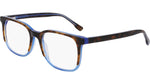 240 - TORTOISE BLUE / 