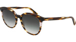 211 - STRIPED BROWN / 