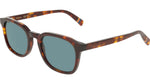 230 - DARK HAVANA / 