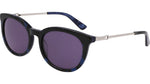410 - BLUE TORTOISE / 