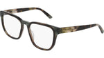 310 - OLIVE TORTOISE / 
