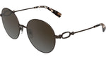 206 - BROWN/GRADIENT BROWN / 