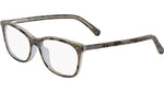 248 - TAUPE TORT 248