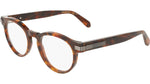 219 - BROWN TORTOISE / 