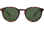 Chestnut / Vintage Green (AR)