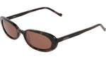 282 - BROWN TORTOISE / 