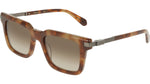 225 - MILKY BROWN TORTOISE / 