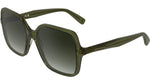 319 - TRANSPARENT KHAKI