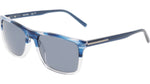 441 - BLUE HORN GRADIENT / 