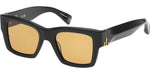 01E - Shiny Black / brown