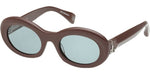 48N - Shiny Dark Brown / green