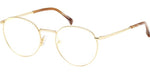 032 - Shiny Pale Gold / 