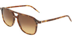 217 - HAVANA BROWN