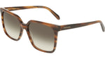 216 - STRIPED BROWN / 