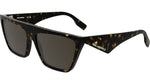 242 - DARK TORTOISE / 