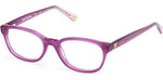 081 - Shiny Violet / 