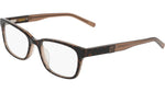 272 - BROWN TORTOISE / 